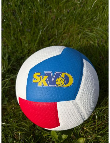 Míč volejbalový Gala Pro-Line BV 5585 S s logem SKVD
